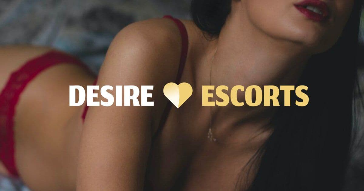 Busty escorts